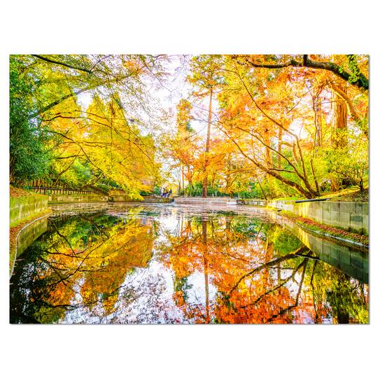 Designart - Bright Fall Forest with River